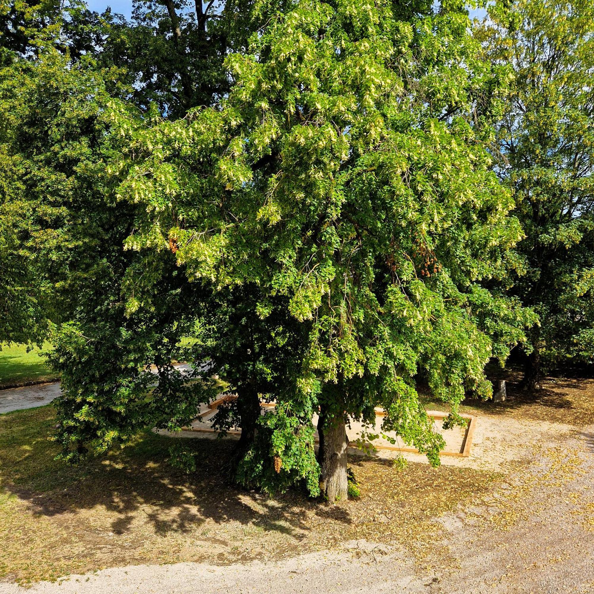 La Souveraine Contrexeville Exterior photo